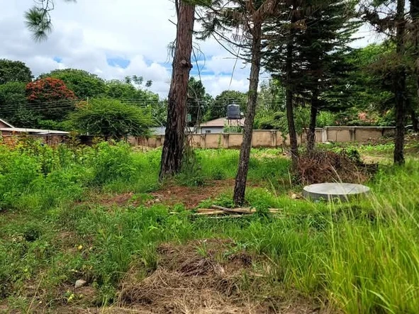 Development Opportunity 
